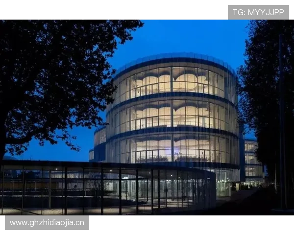 米兰备用平台在大型活动中的实战应用与效果评估